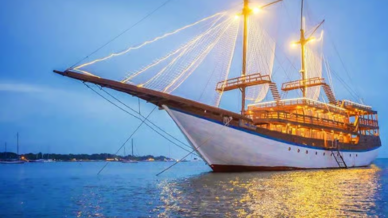 Cruises