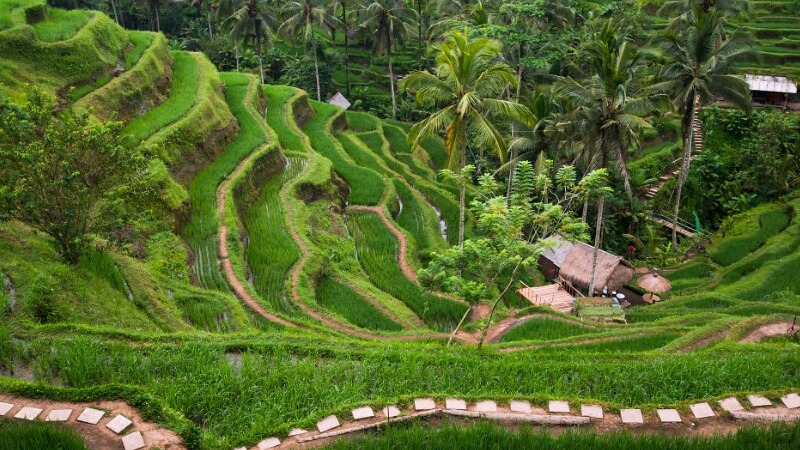 Half Day Tour Package 