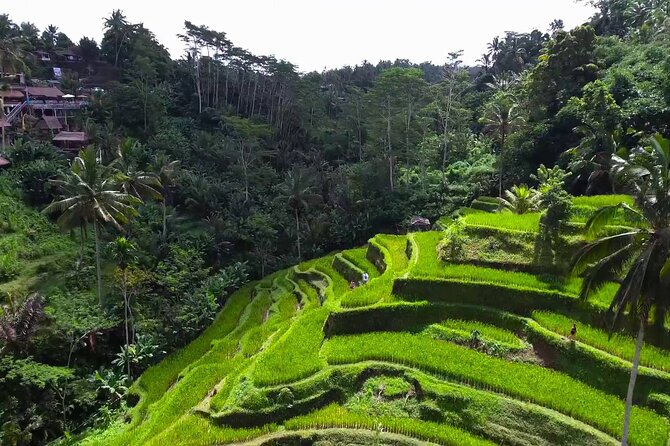 Ubud Village Day Tour